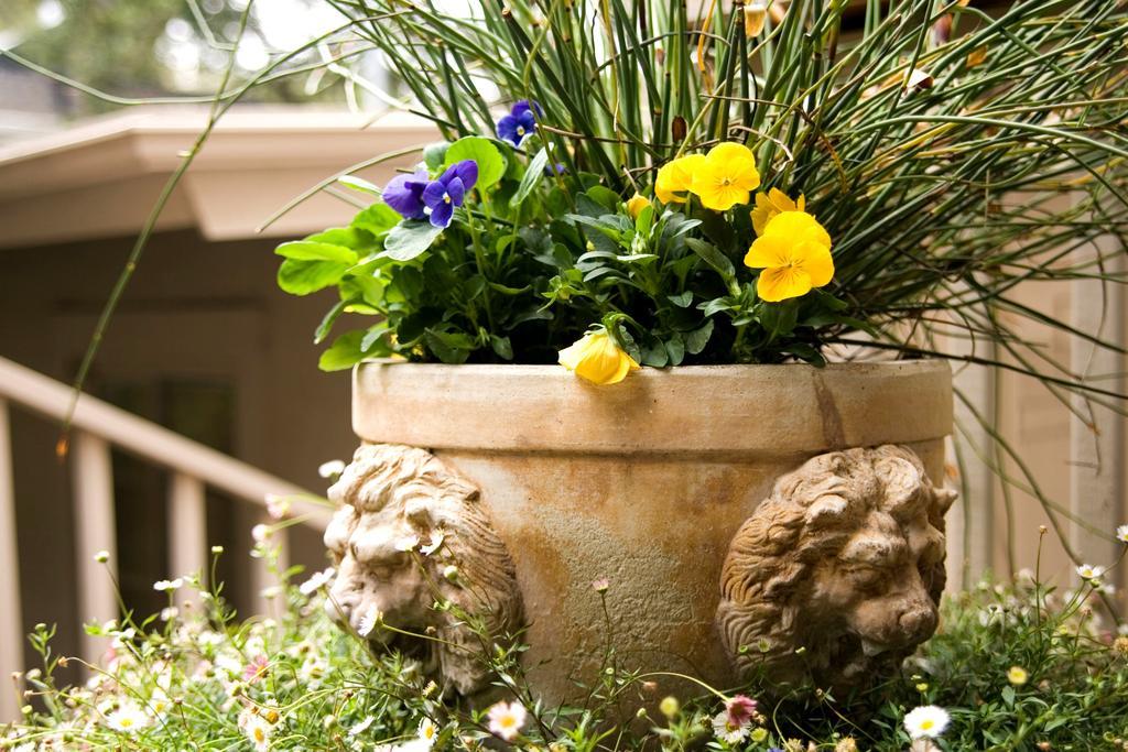 Carmel Country Inn Exterior photo